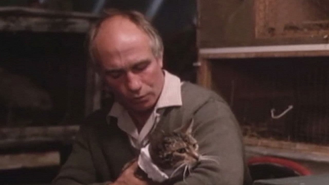 Backdrop – Mr. Love