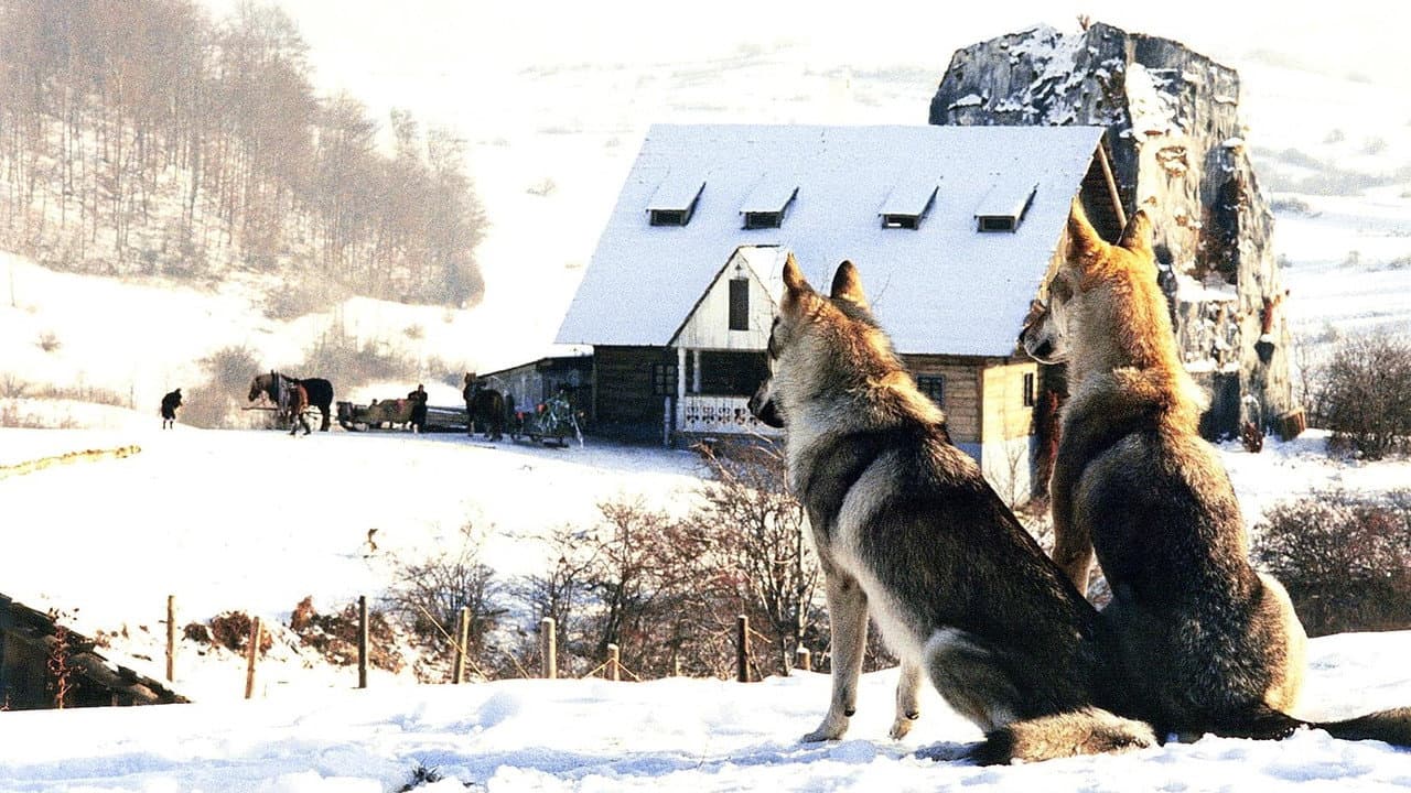 Backdrop – Nejasná zpráva o konci světa
