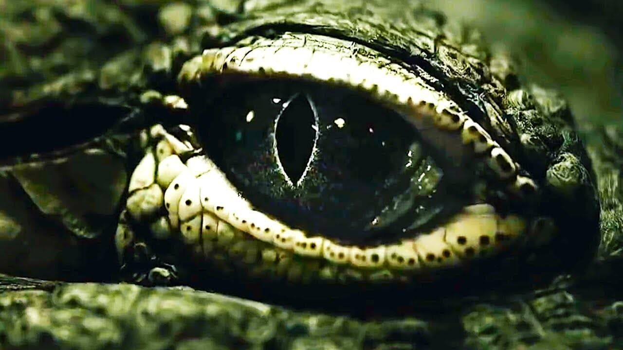 Backdrop – Saltwater: The Battle for Ramree Island