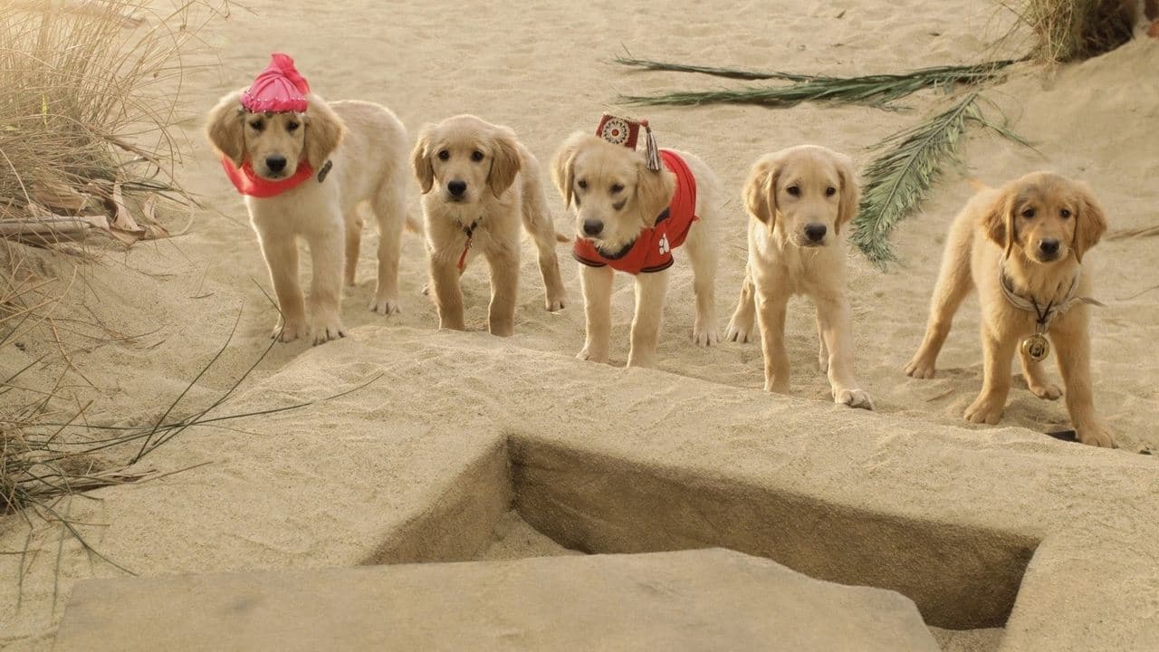 Backdrop – Treasure Buddies - Schatzschnüffler in Ägypten