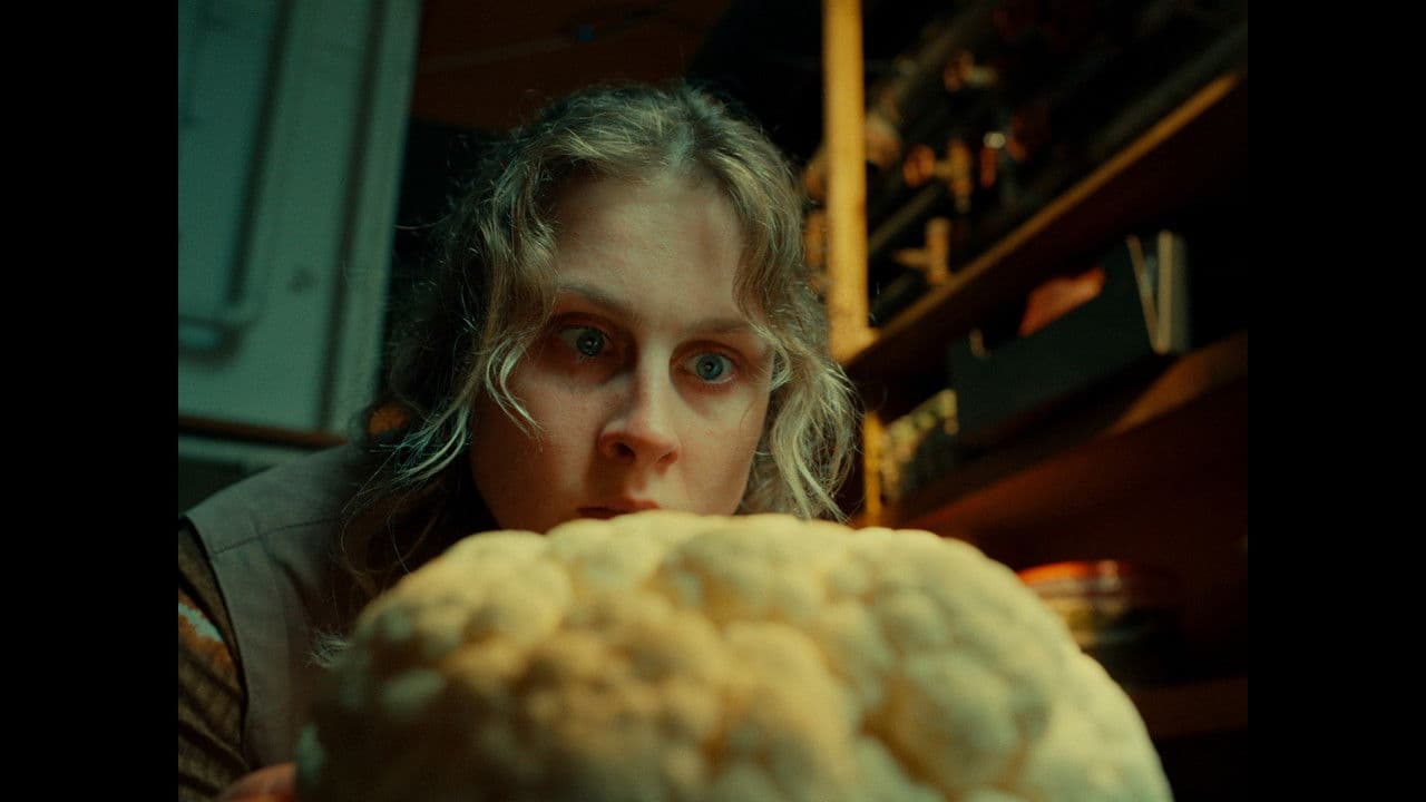 Backdrop – Kalafior przeznaczenia