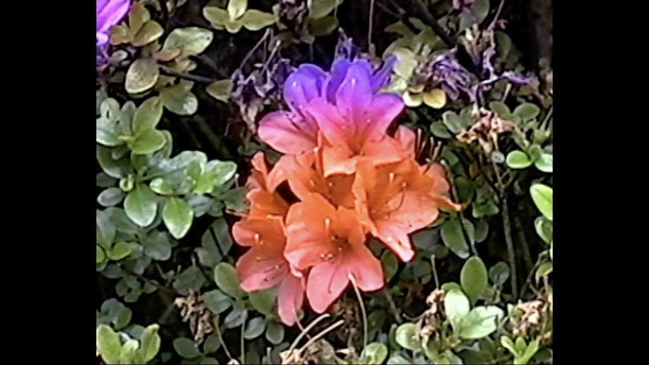 Backdrop – memory consolidation 01