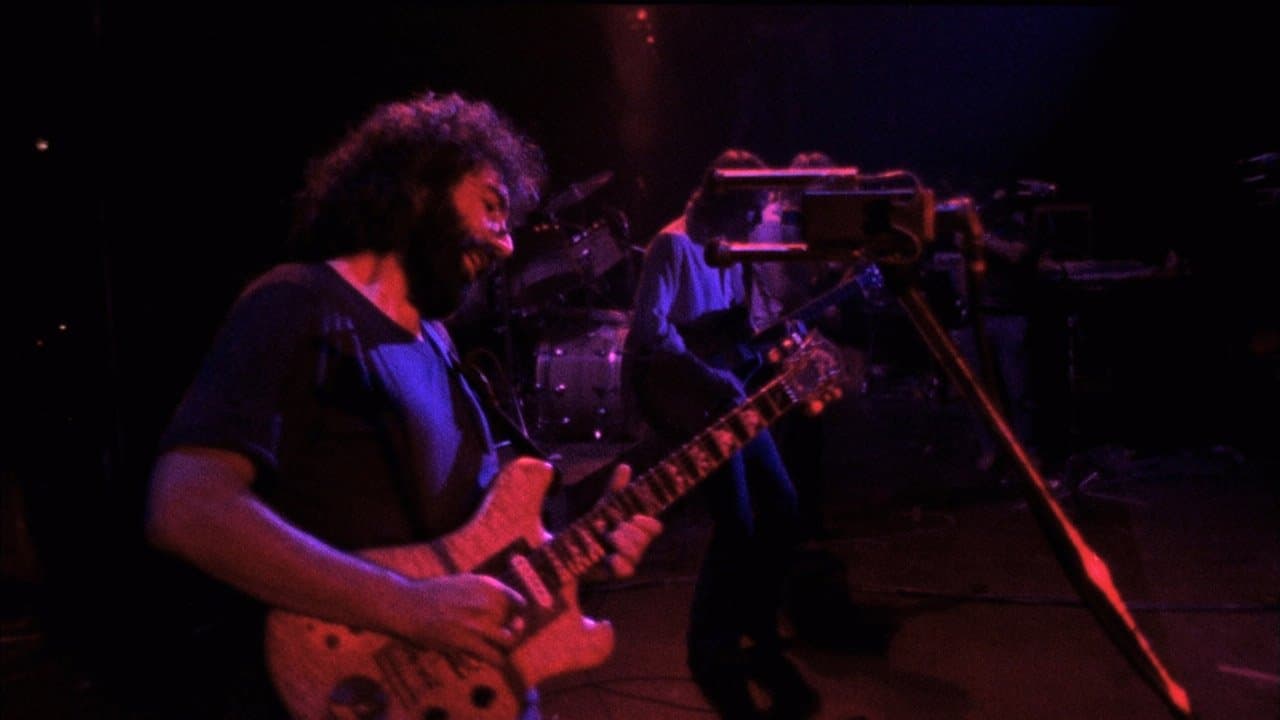 Backdrop – The Grateful Dead Movie
