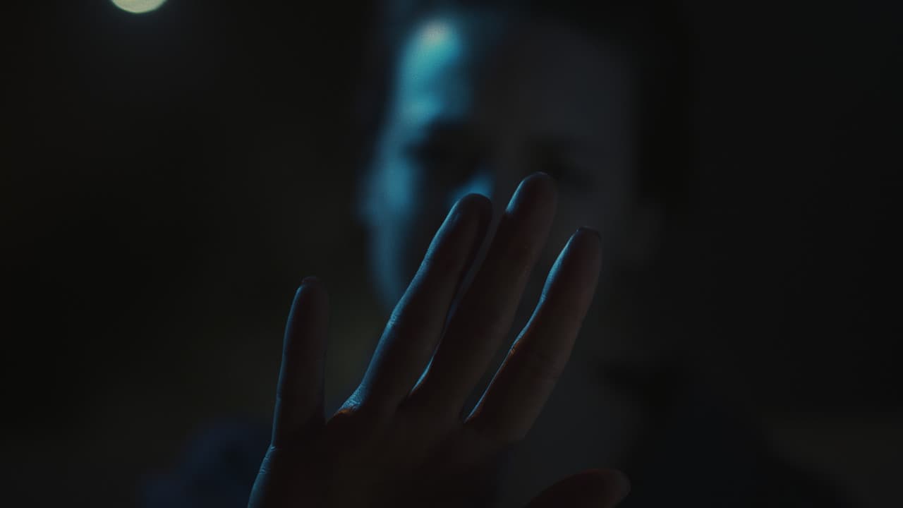 Backdrop – Perspectiva