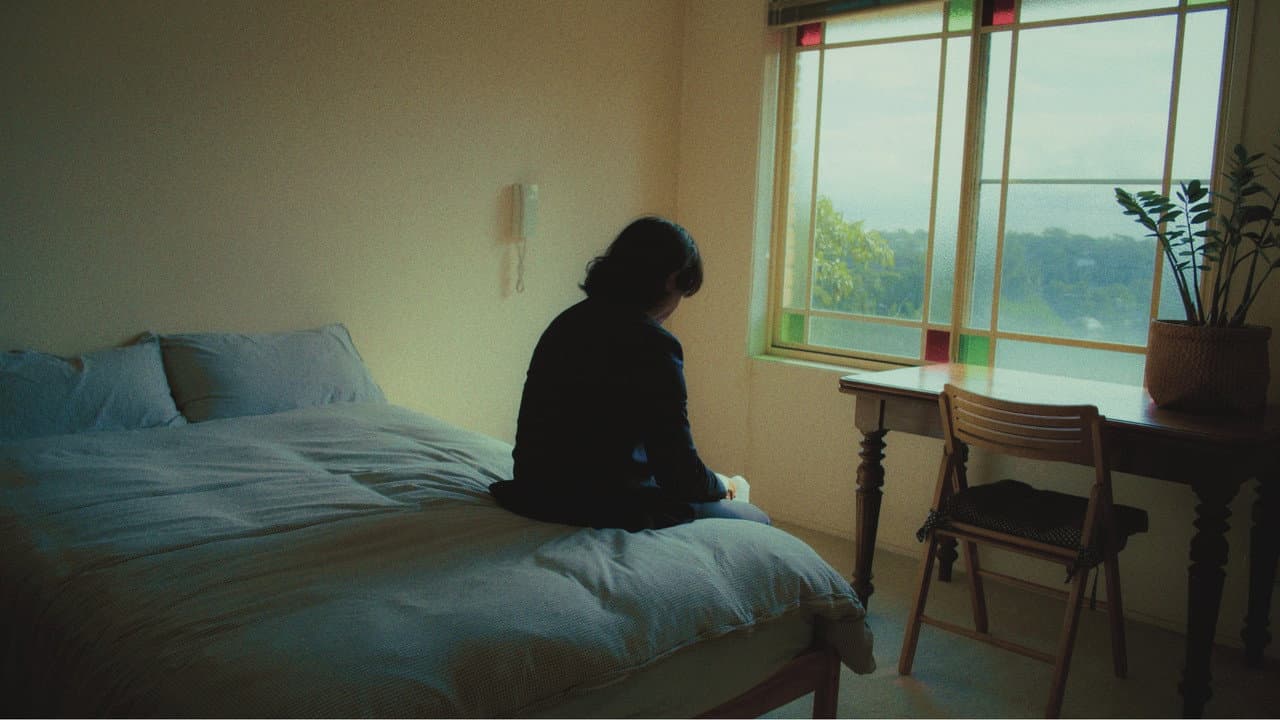 Backdrop – 木漏れ日