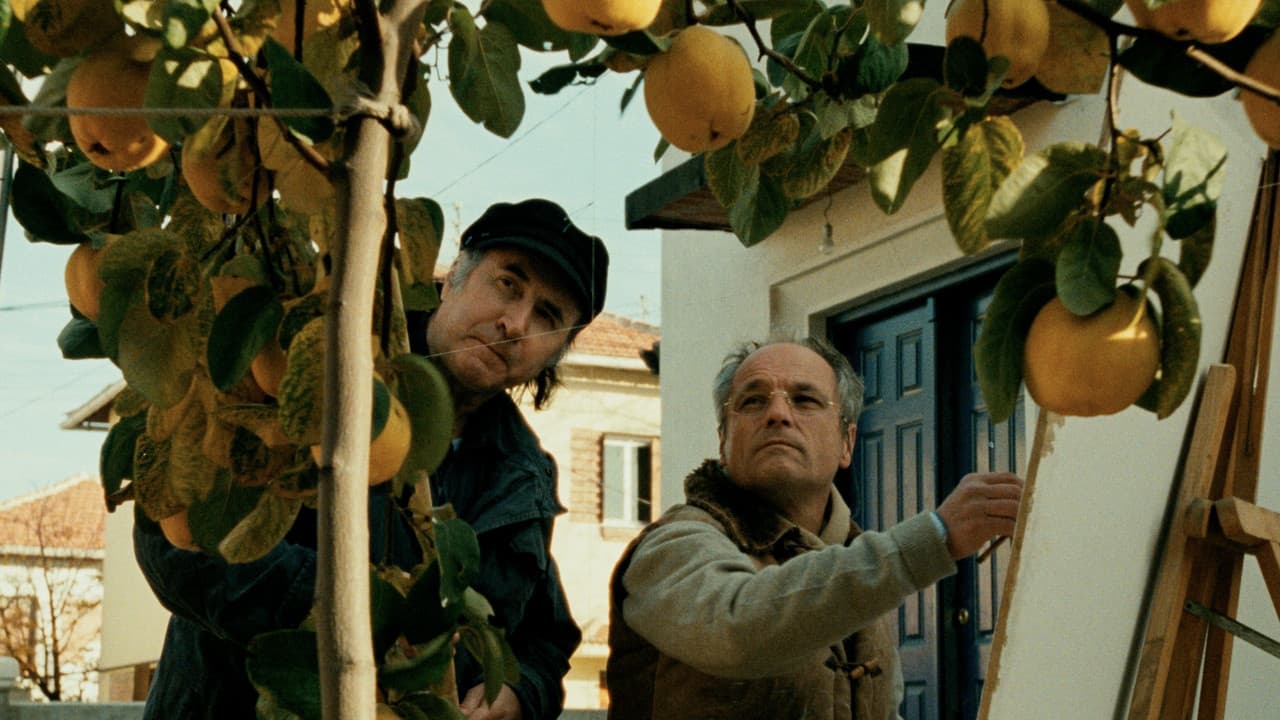 Backdrop – El sol del membrillo