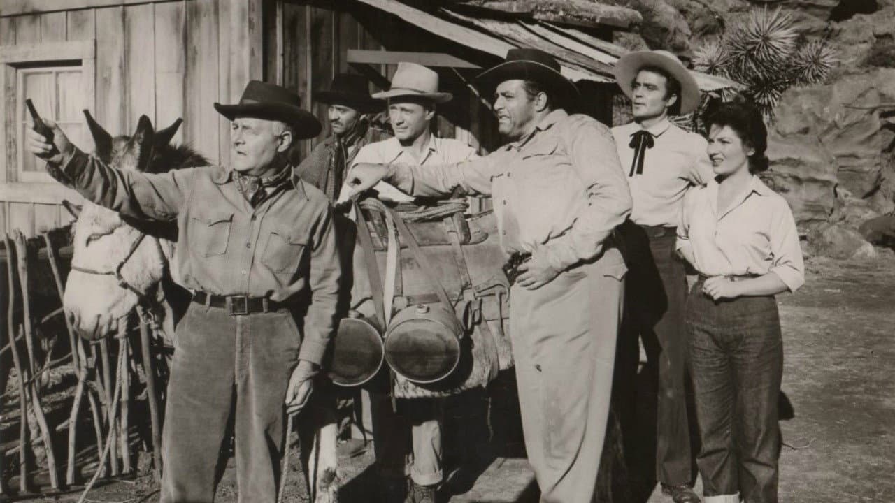 Backdrop – Secret of Treasure Mountain