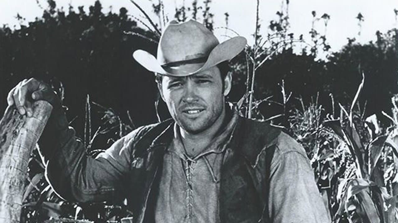 Backdrop – Sancho, the Homing Steer