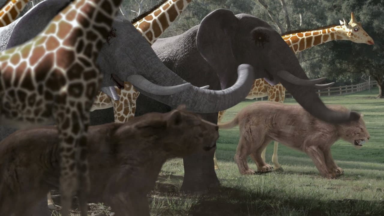 Backdrop – Zoombies 2