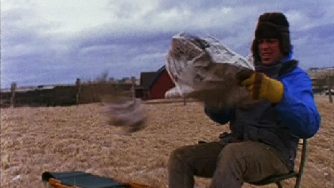 Backdrop – Suêtes