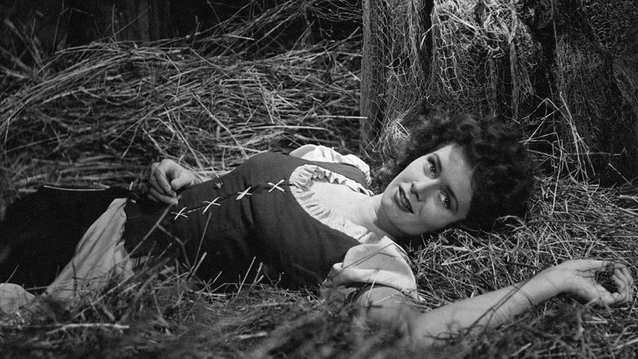 Backdrop – Harald Handfaste