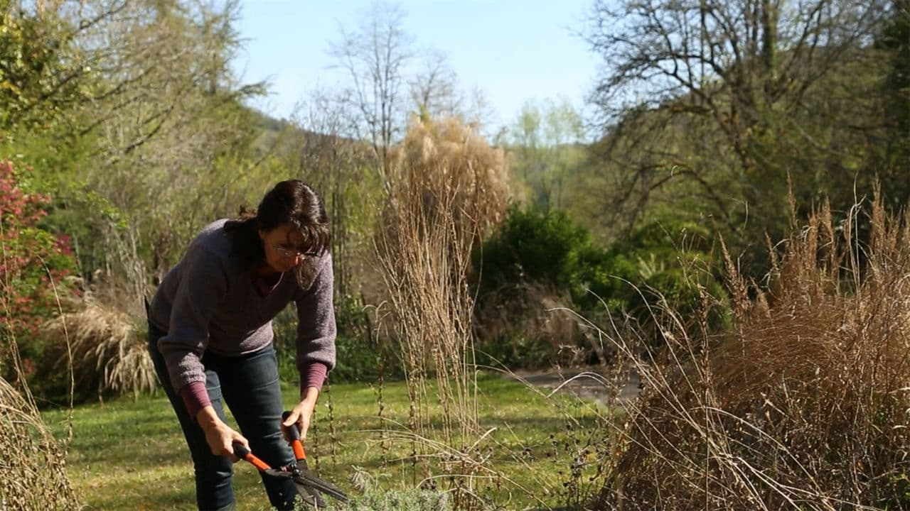 Backdrop – Souviens-toi de ton futur
