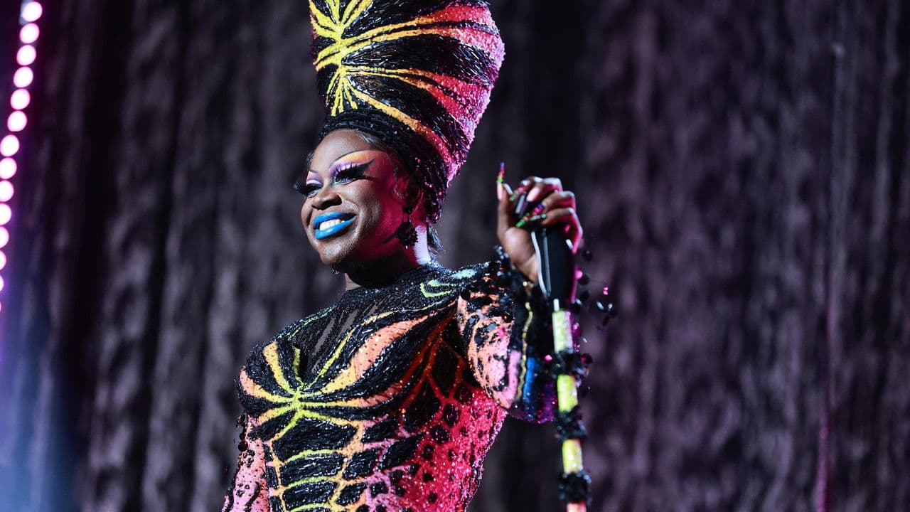 Backdrop – Bob the Drag Queen: This is Wild