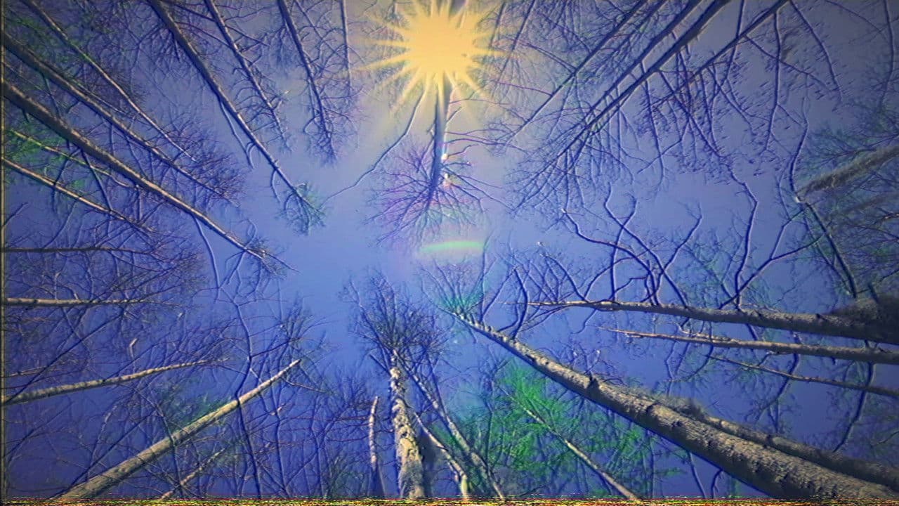 Backdrop – Cologne: artificial (Labajura Remix)