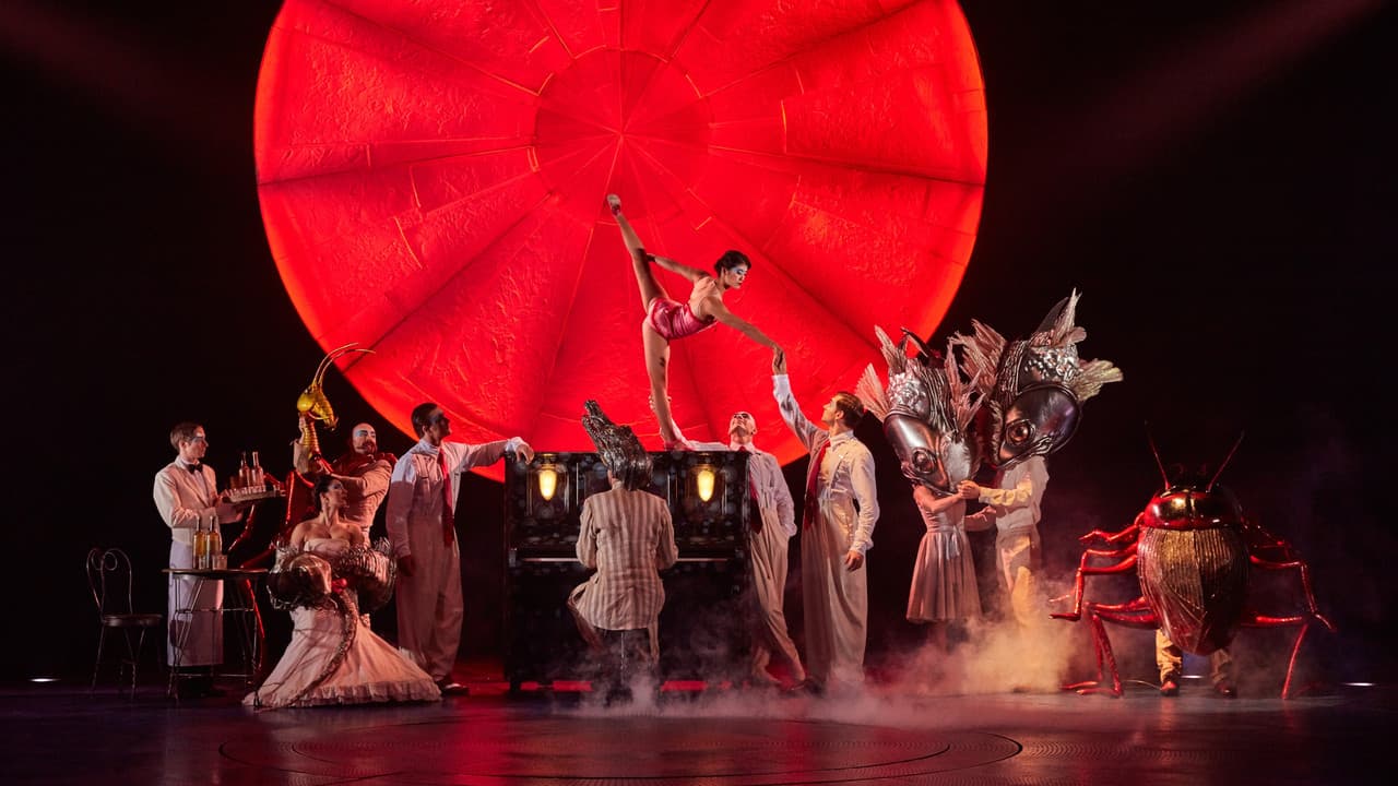 Backdrop – Cirque du Soleil: Luzia