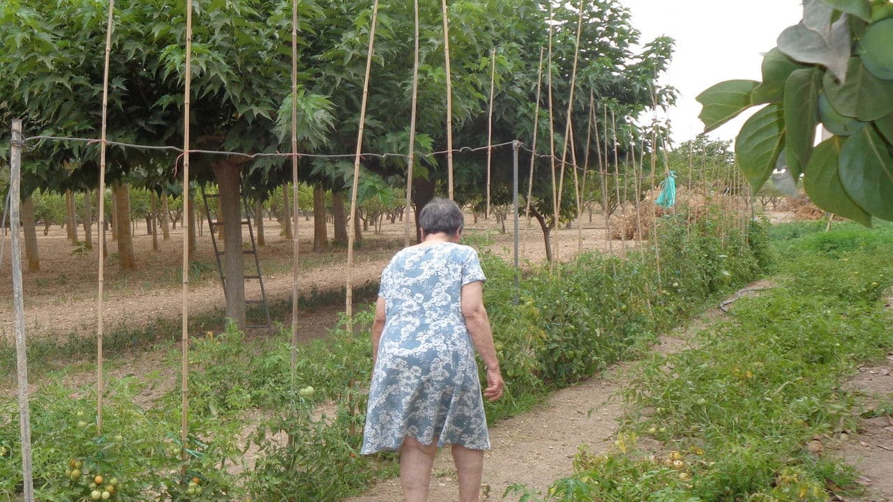 Backdrop – A Son Miró