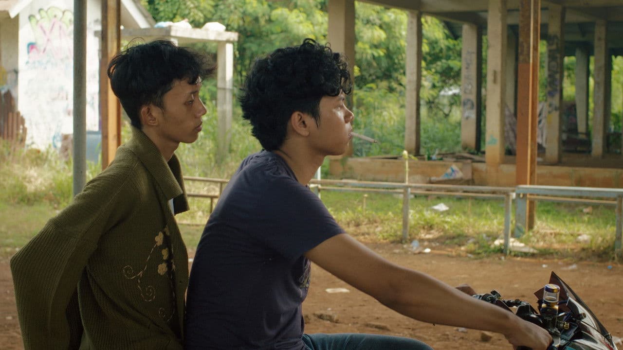 Backdrop – My Paws Are Soft, My Bones Are Heavy