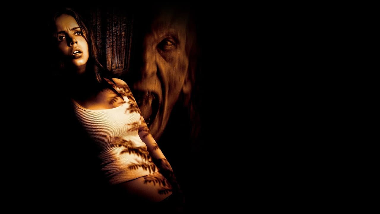 Backdrop – Wrong Turn