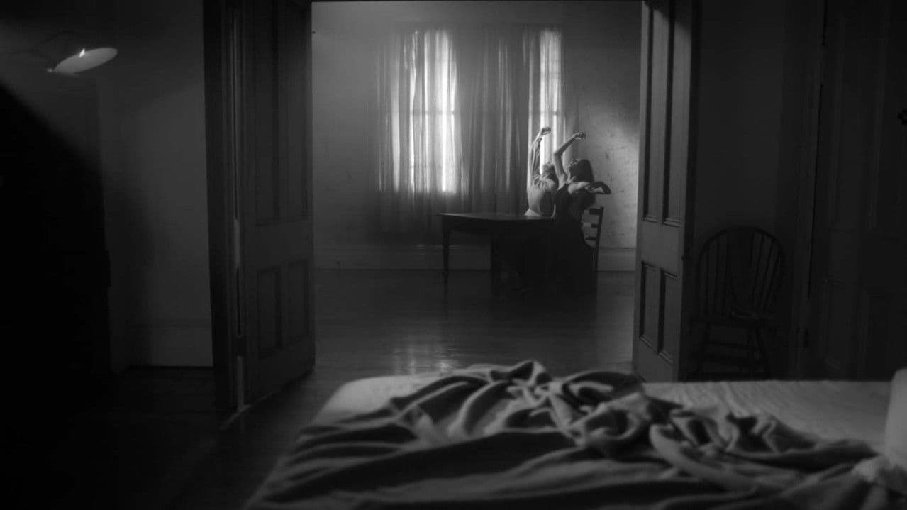 Backdrop – Shadow / Self