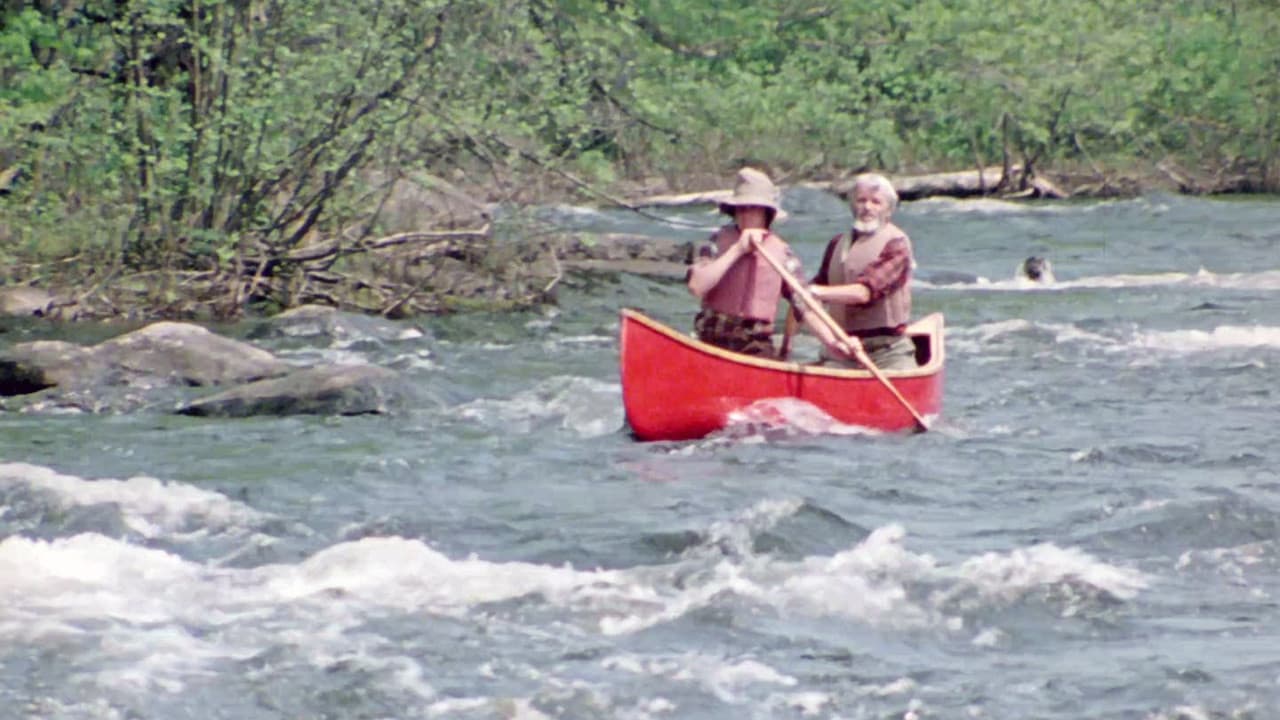 Backdrop – Path of the Paddle: Doubles Whitewater