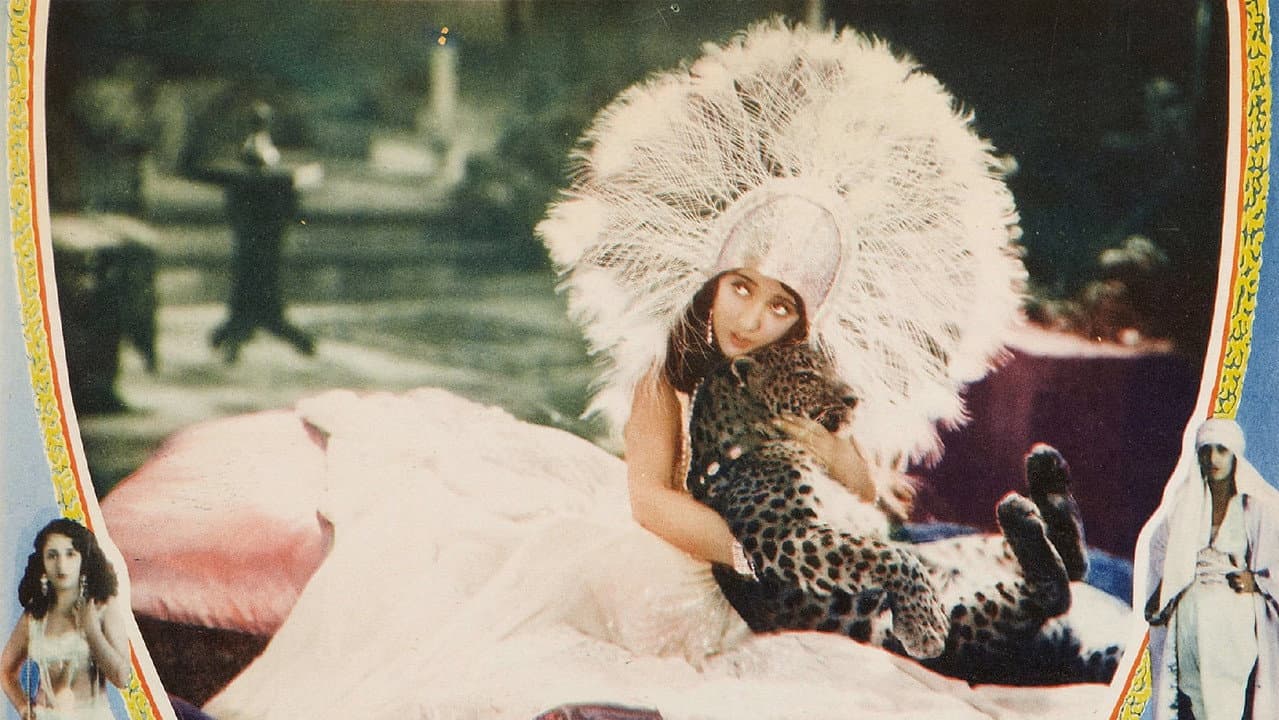 Backdrop – She's a Sheik