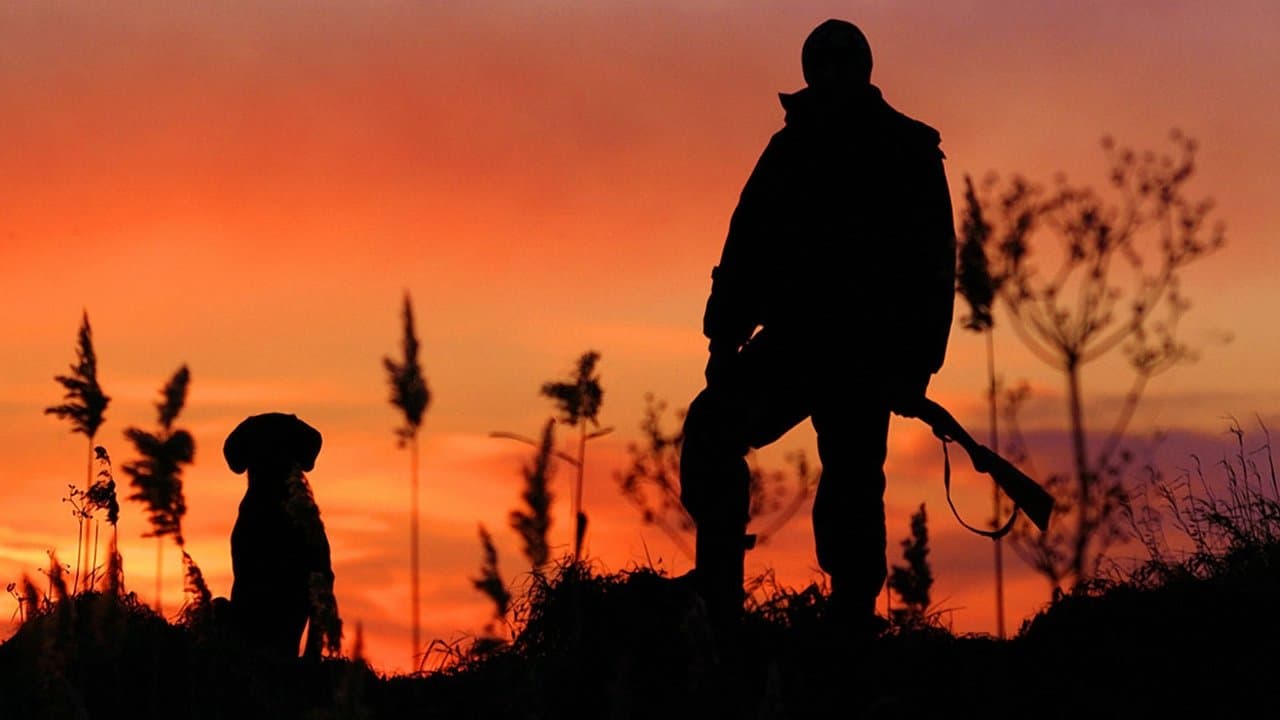 Backdrop – Die Spur der Jäger