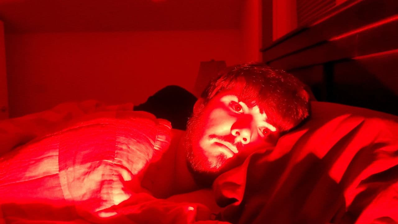 Backdrop – Holidaymaker