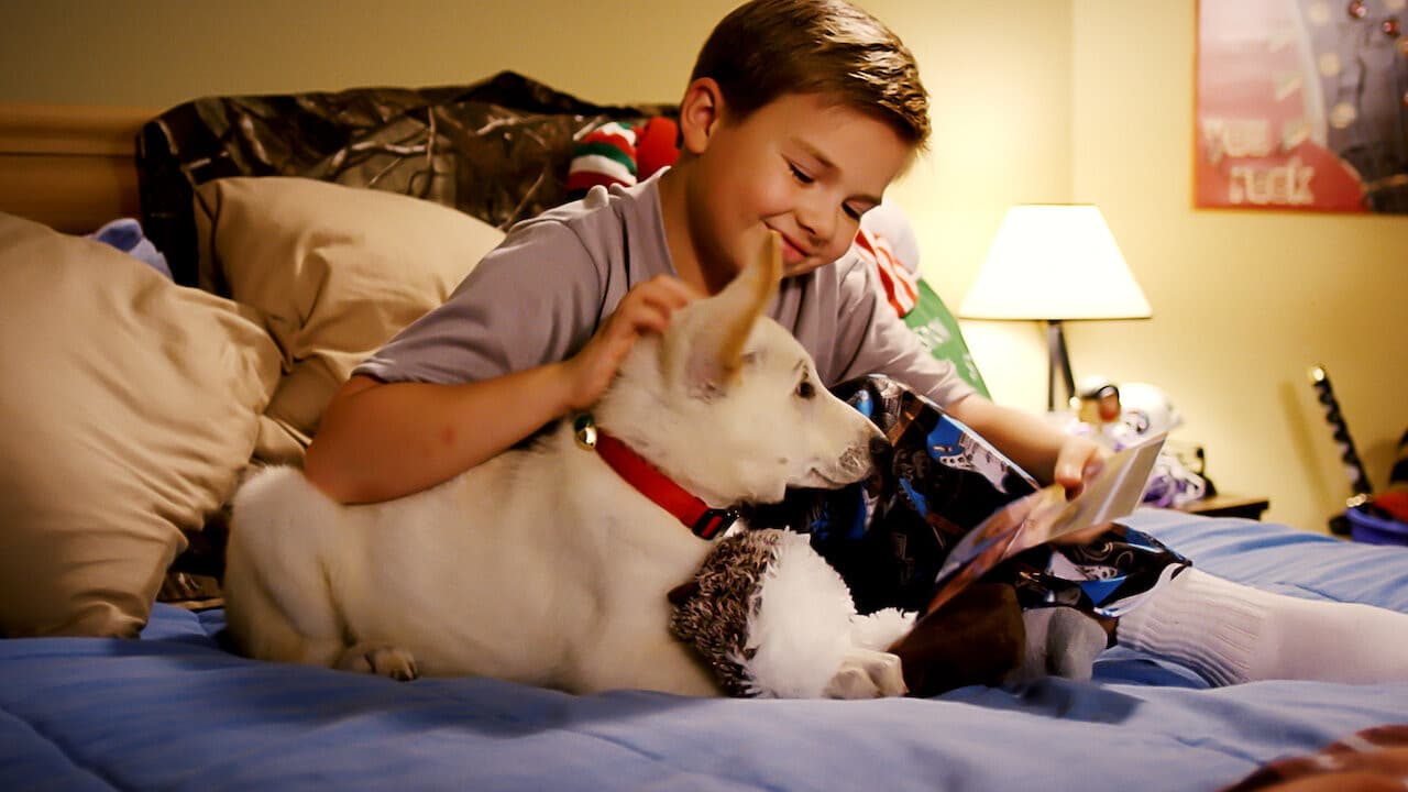 Backdrop – A Belle for Christmas