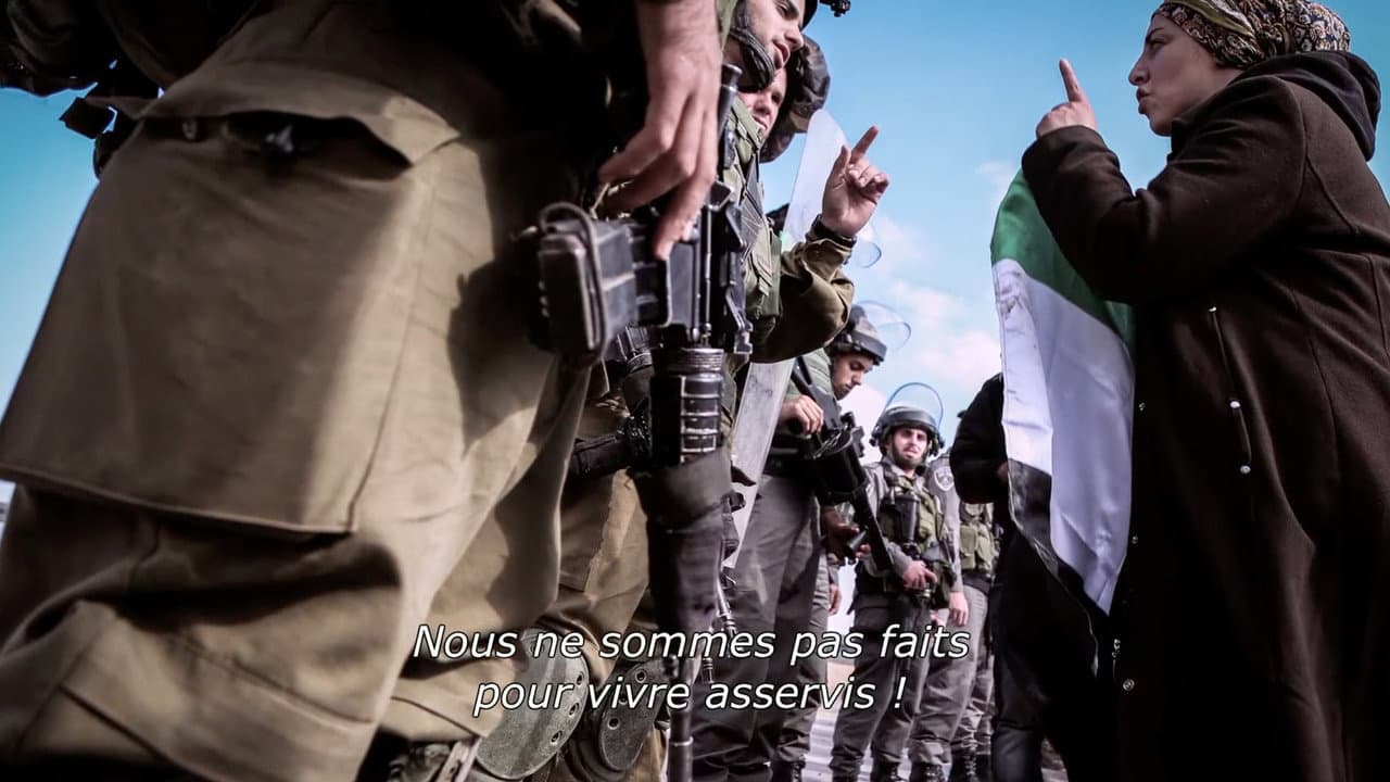 Backdrop – Derrière les fronts : résistances et résiliences en Palestine