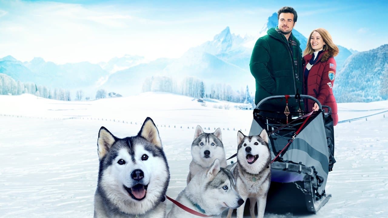 Backdrop – Das Weihnachtsrennen - Im Hundeschlitten zur großen Liebe