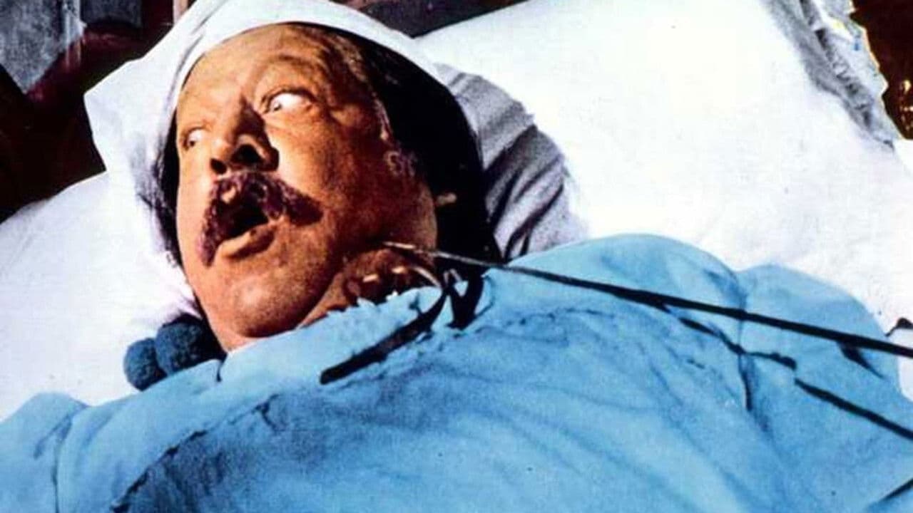 Backdrop – Zorro junior