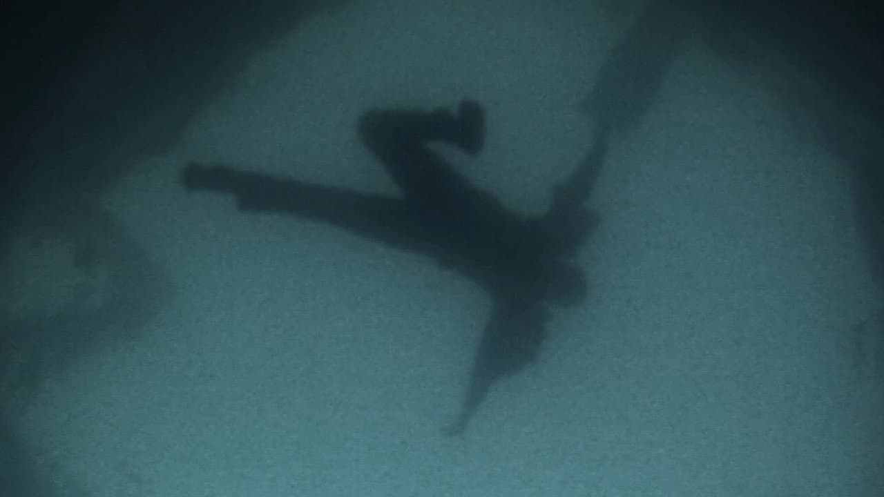 Backdrop – Goldfish