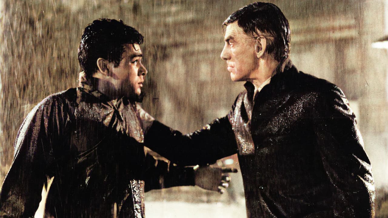 Backdrop – Black Zoo