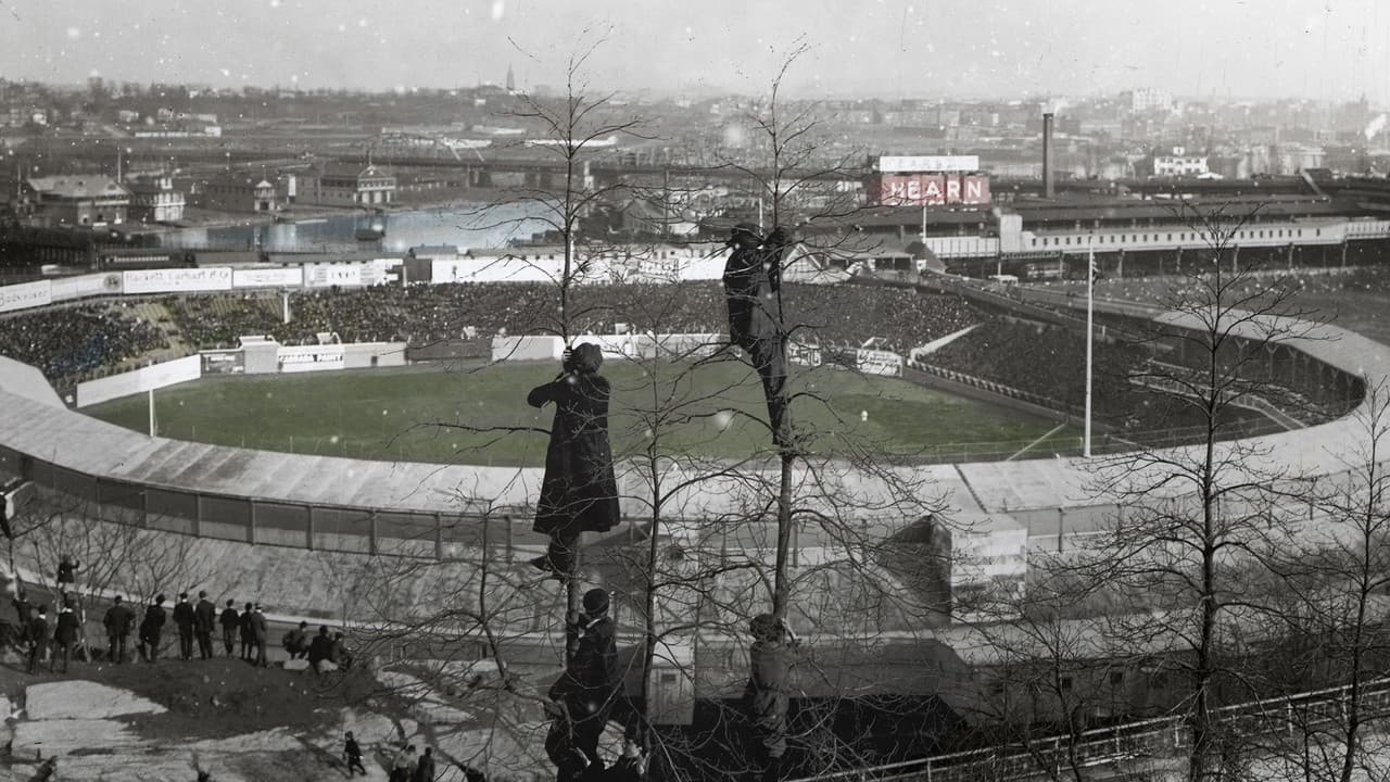 Backdrop – Sport in America: Our Defining Stories