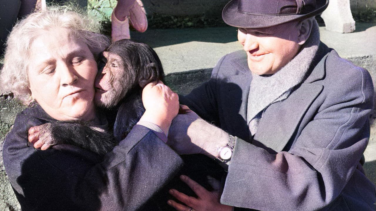 Backdrop – Land des Schweigens und der Dunkelheit