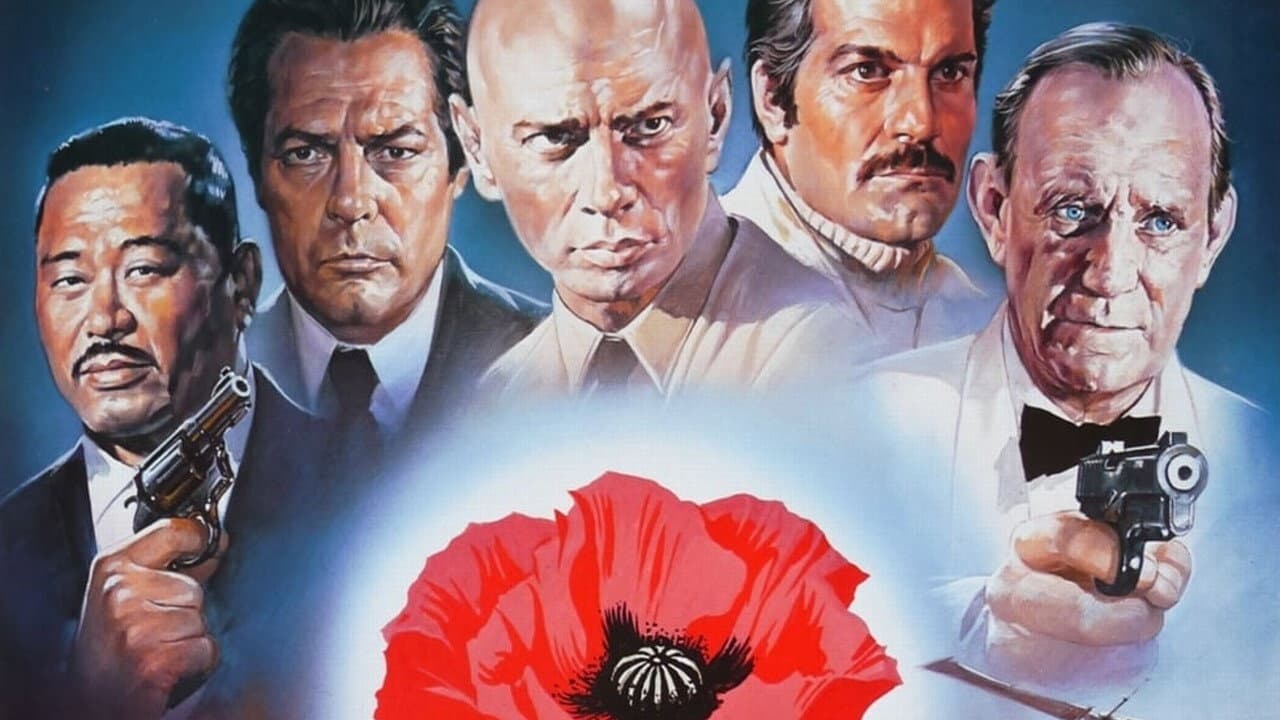 Backdrop – Mohn ist auch eine Blume