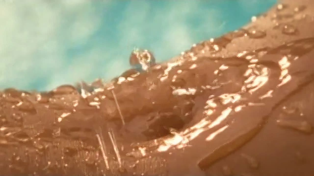 Backdrop – Playboy: Wet & Wild V