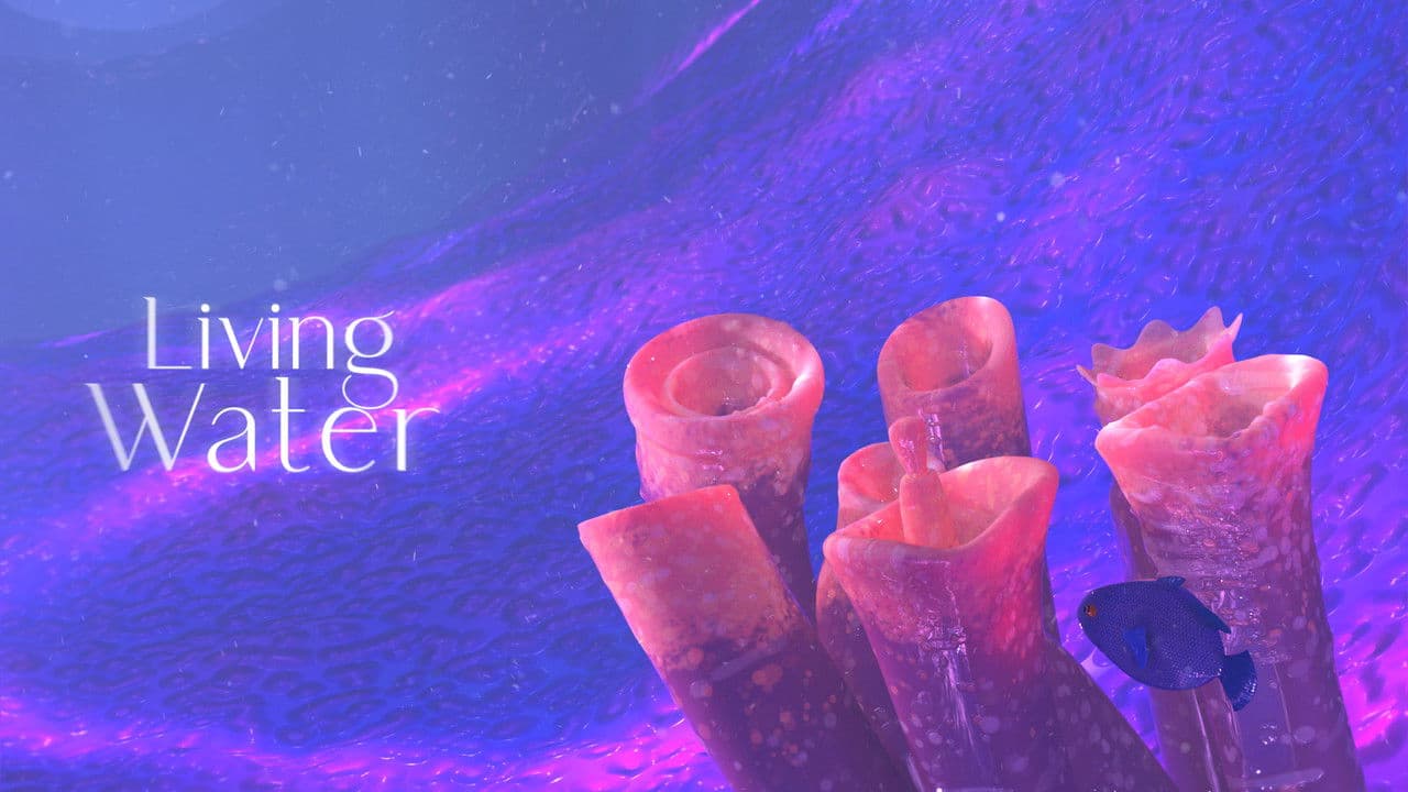 Backdrop – Água Viva