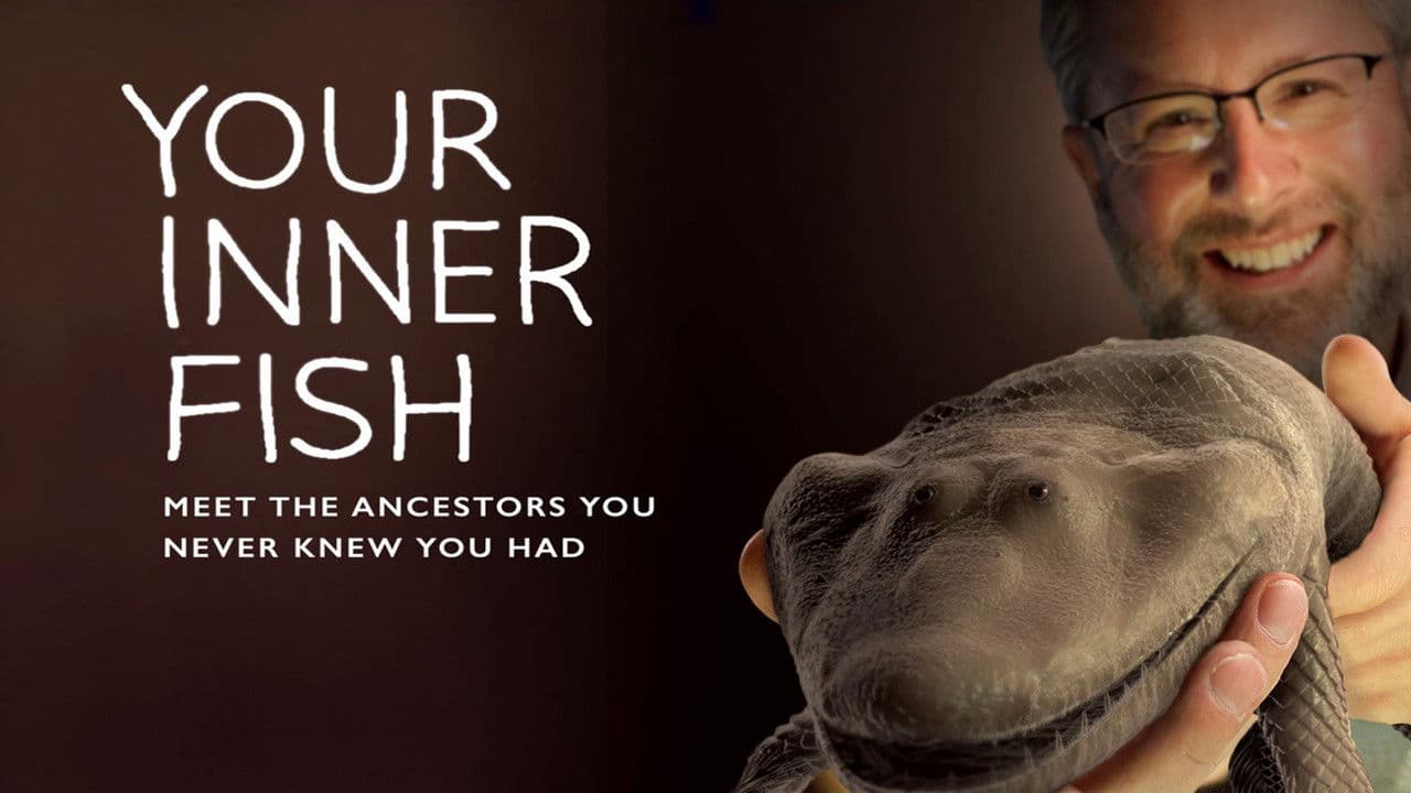 Backdrop – Der Fisch in uns