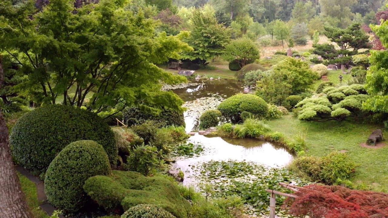 Backdrop – Les Trésors des plus beaux Jardins français