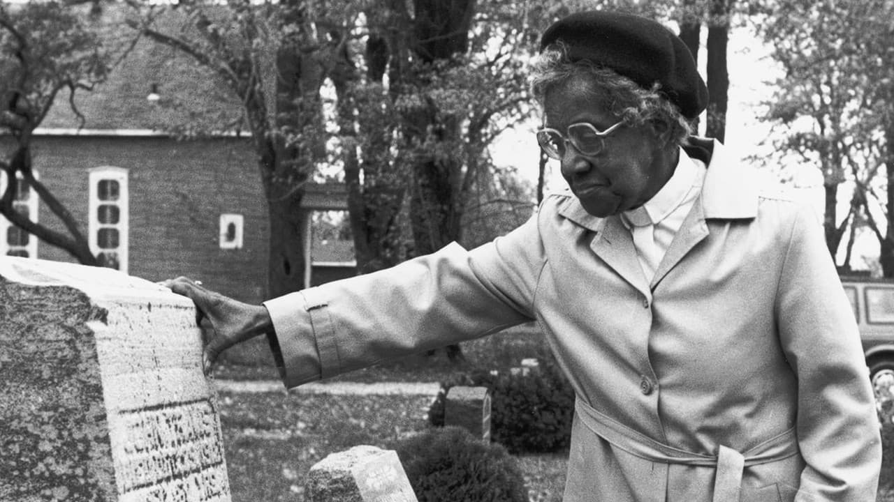 Backdrop – Older, Stronger, Wiser