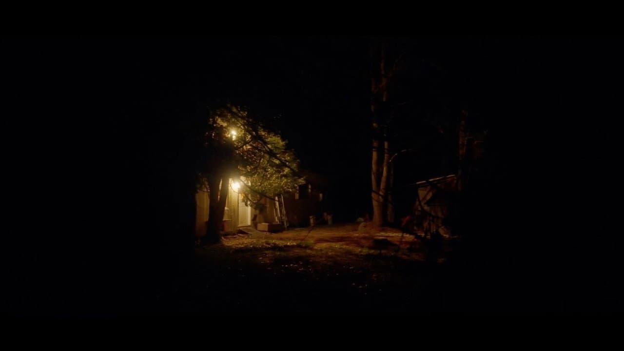 Backdrop – Midnight Snack