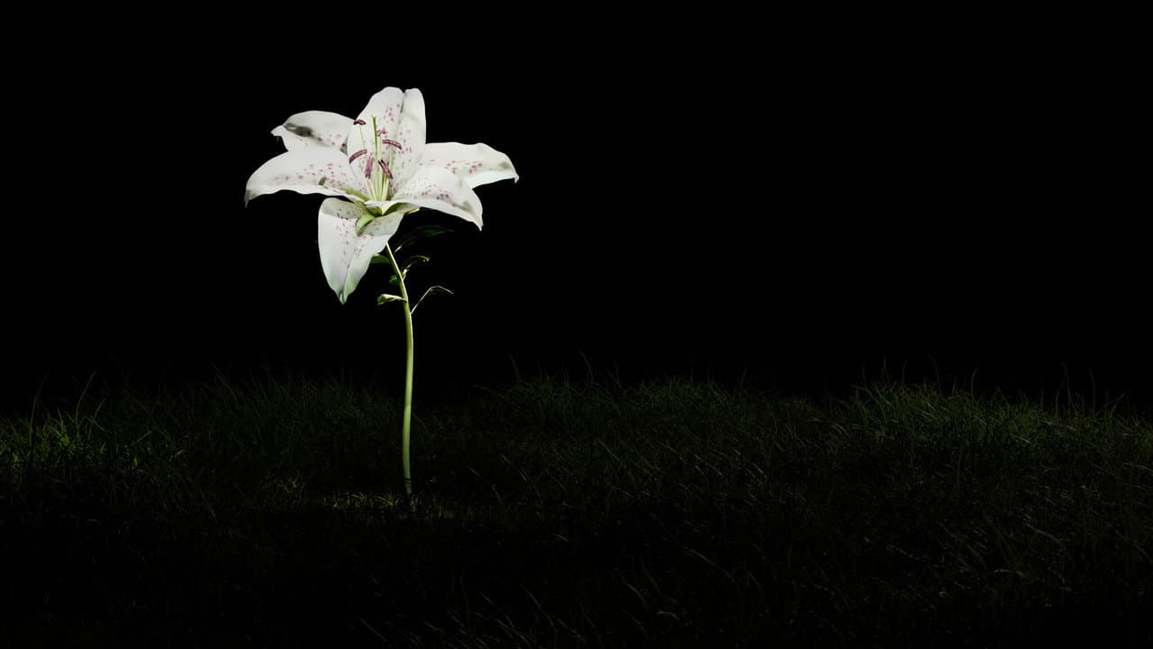 Backdrop – FOREVER CHEMICALS