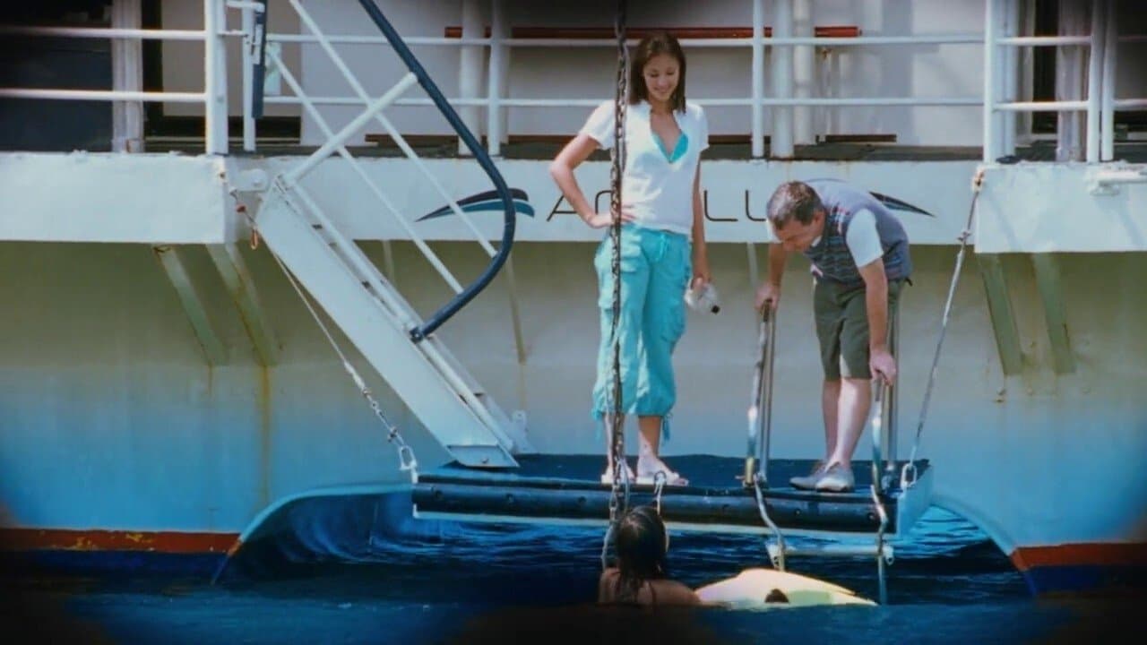 Backdrop – Deep Gold