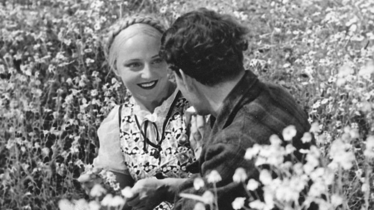 Backdrop – Laulu tulipunaisesta kukasta