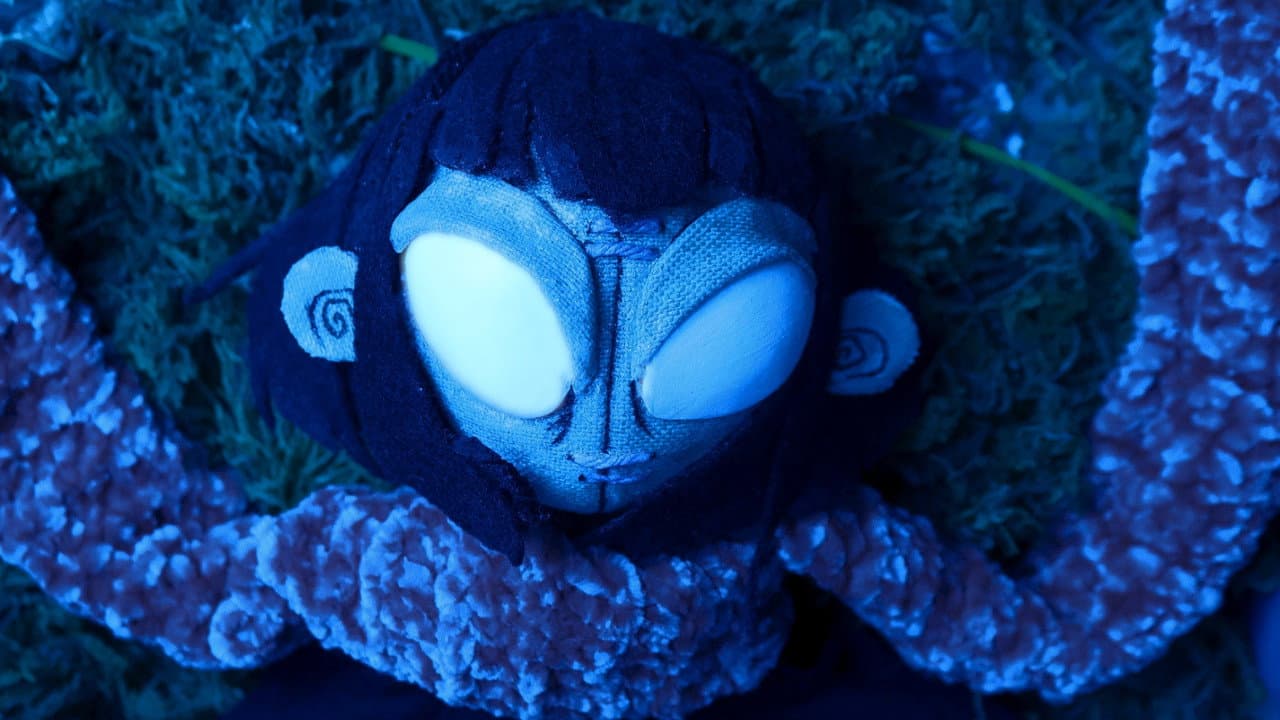 Backdrop – Dulcibella