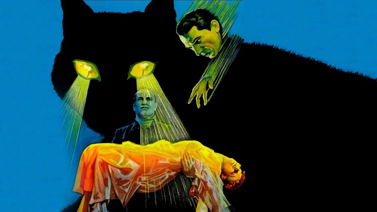 Backdrop – Die schwarze Katze