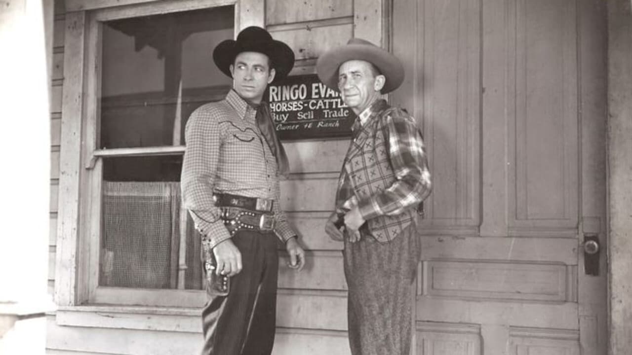 Backdrop – Stars Over Texas