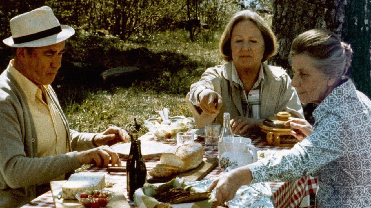 Backdrop – Paradistorg