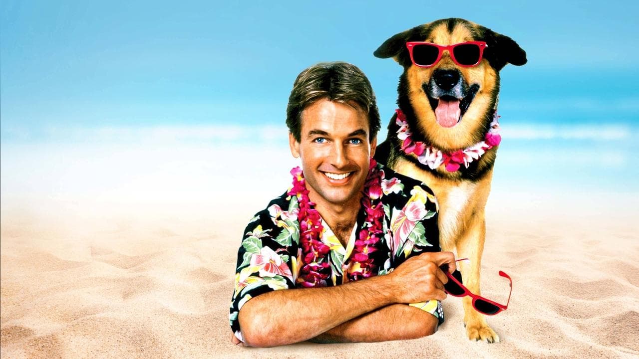 Backdrop – Summer School